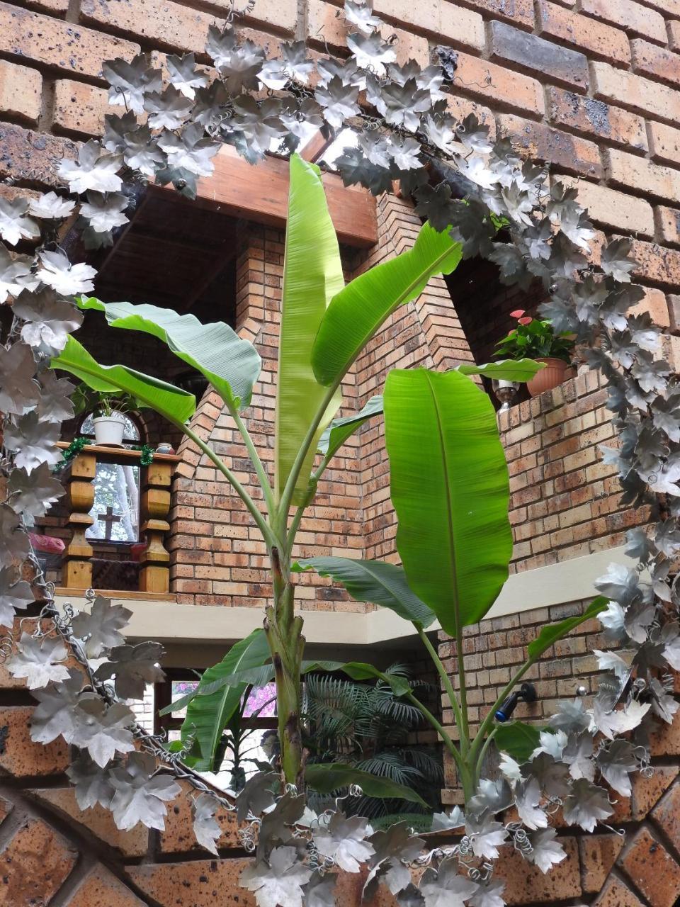Mossel Bay Guest House Esterno foto