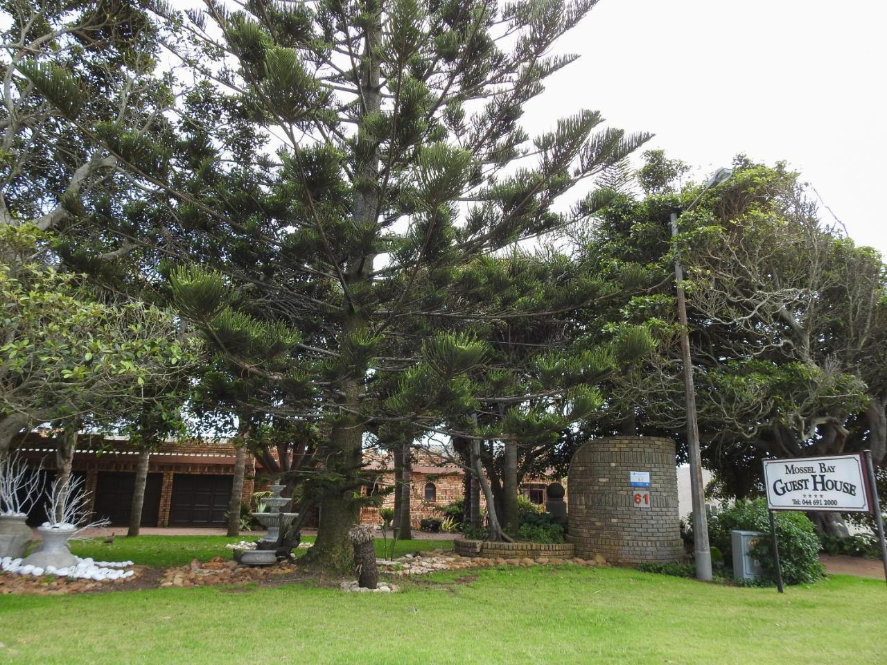 Mossel Bay Guest House Esterno foto